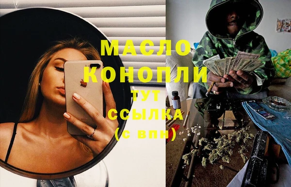 индика Магас