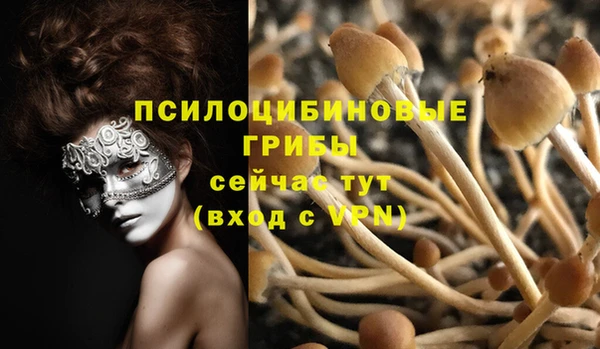 прущие крисы Лихославль