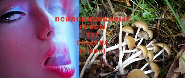 индика Магас