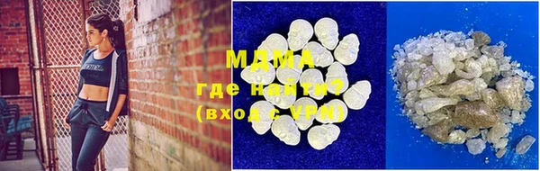 индика Магас