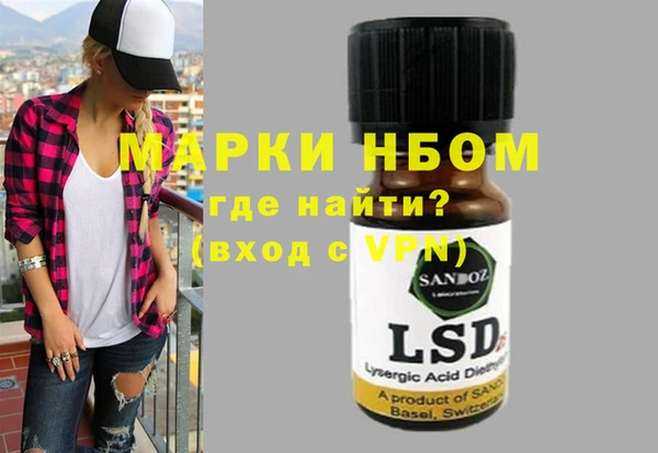 индика Магас