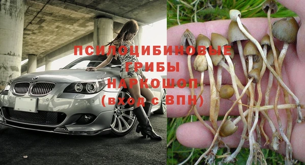 прущие крисы Майский