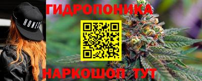 PSILOCYBIN Гусиноозёрск