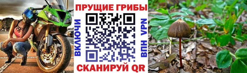 Псилоцибиновые грибы мухоморы  где продают   Мелеуз 