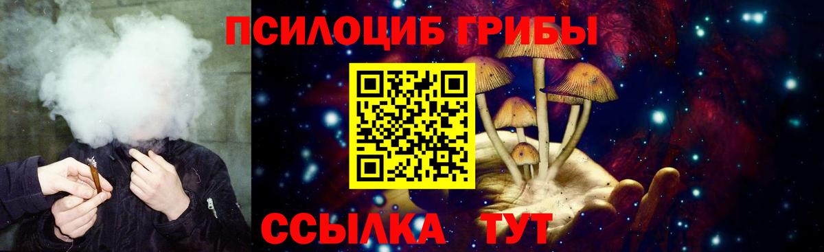 Галлюциногенные грибы Psilocybe  Вход с VPN  Мелеуз 